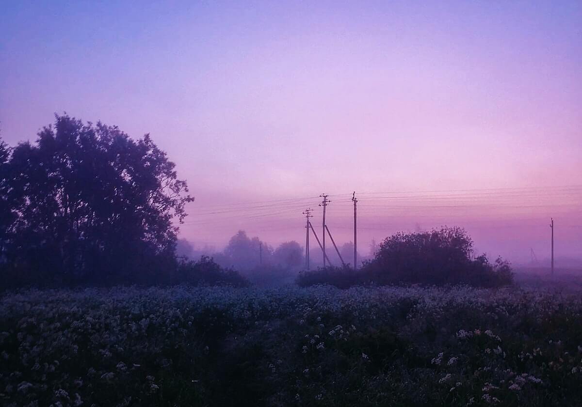 开云电竞苹果版-维特尔献歌告别法拉利 获赠巨型分站冠军纪念奖杯